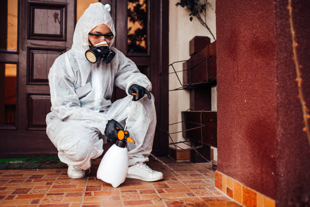 Reliable Bed Bug Control contractor in Coto de Caza, CA by Nex Pest Control
