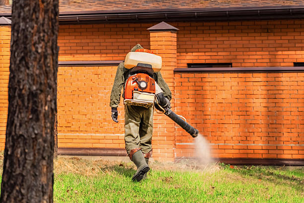 Trusted Rodent Control service in Coto de Caza, CA - Nex Pest Control